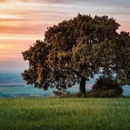 Ranchito De Alhucemas,piscina Privada Y Barbacoa Сasa de vacaciones
