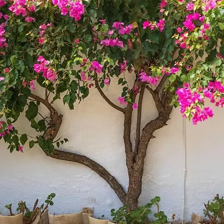 Holiday home Ranchito De Alhucemas,piscina Privada Y Barbacoa *